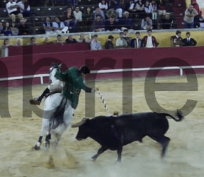 Tyrefekting video Caldas da Rainha 2013