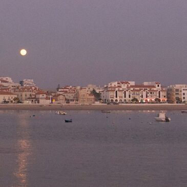 São Martinho do Porto 4 de janeiro 2015