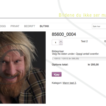Nytt nettbutikksystem for fotografer på web