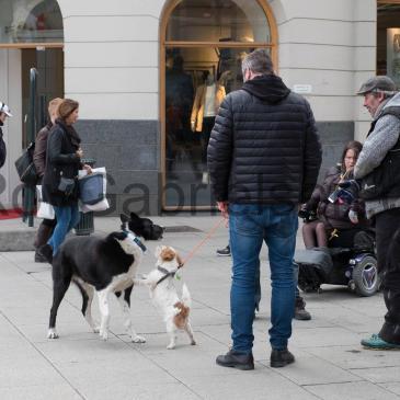 FUJIFILM X-T2 minitest og førsteinntrykk