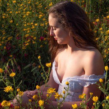 Beauty in the spring flowers