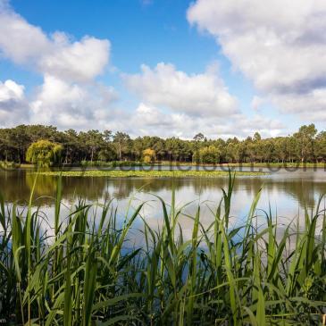 Lagoa de Pataias, Alcobaça