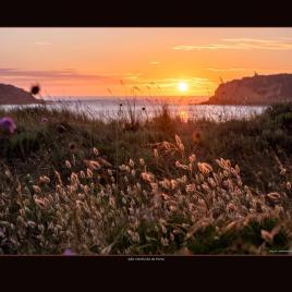 São Martinho do Porto sunset 1 – 40×50 cm w/frame