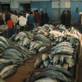 Morocco Agadir 1984 – 10 – Download – 4850 by 3233 pixels