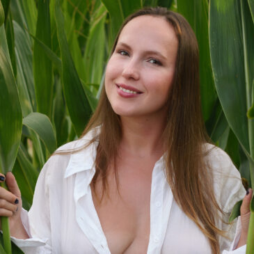 When the cornfield is at its best